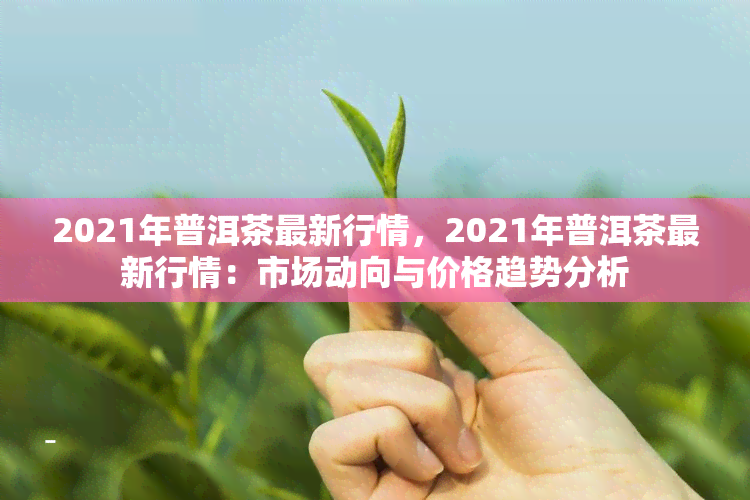 2021年普洱茶最新行情，2021年普洱茶最新行情：市场动向与价格趋势分析