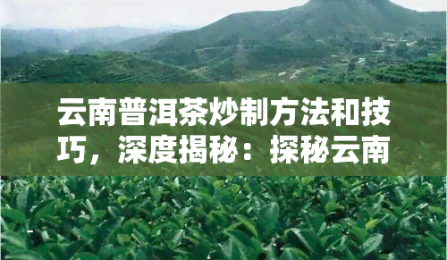 云南普洱茶炒制方法和技巧，深度揭秘：探秘云南普洱茶炒制的方法与技巧