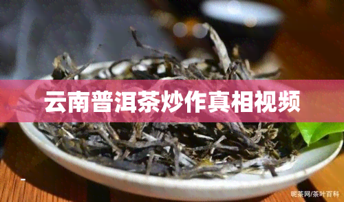 云南普洱茶炒作真相视频