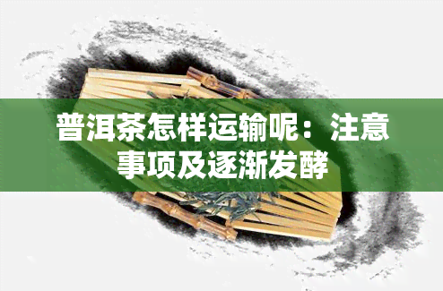 普洱茶怎样运输呢：注意事项及逐渐发酵