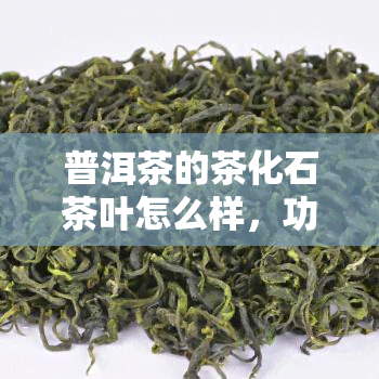 普洱茶的茶化石茶叶怎么样，功效和口感