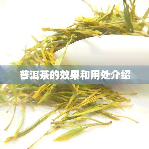 普洱茶的效果和用处介绍