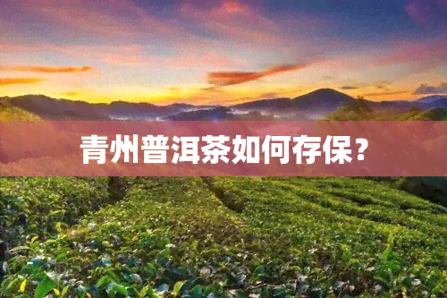 青州普洱茶如何存保？