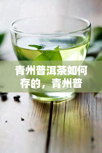 青州普洱茶如何存的，青州普洱茶的正确存方法揭秘