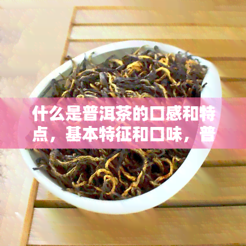 什么是普洱茶的口感和特点，基本特征和口味，普洱茶叶