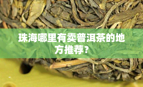 珠海哪里有卖普洱茶的地方推荐？