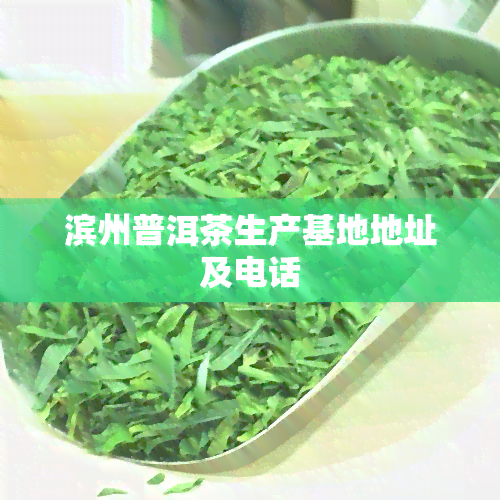 滨州普洱茶生产基地地址及电话