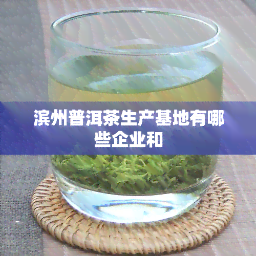 滨州普洱茶生产基地有哪些企业和