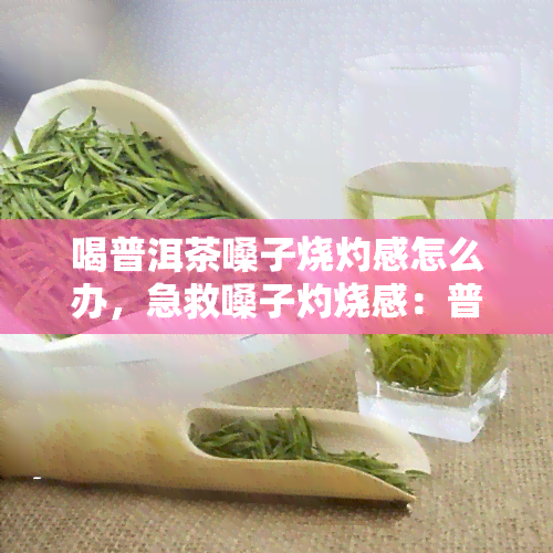 喝普洱茶嗓子烧灼感怎么办，急救嗓子灼烧感：普洱茶功效与缓解方法揭秘！