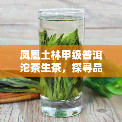 凤凰土林甲级普洱沱茶生茶，探寻品味的魅力：凤凰土林甲级普洱沱茶生茶