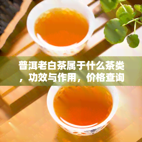 普洱老白茶属于什么茶类，功效与作用，价格查询