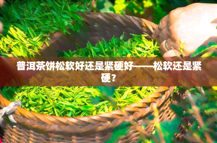 普洱茶饼松软好还是紧硬好——松软还是紧硬？