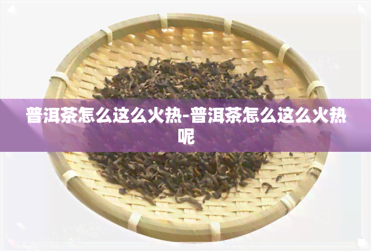 普洱茶怎么这么火热-普洱茶怎么这么火热呢