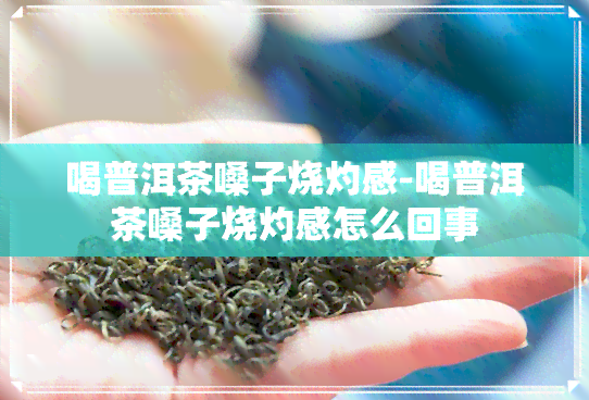 喝普洱茶嗓子烧灼感-喝普洱茶嗓子烧灼感怎么回事