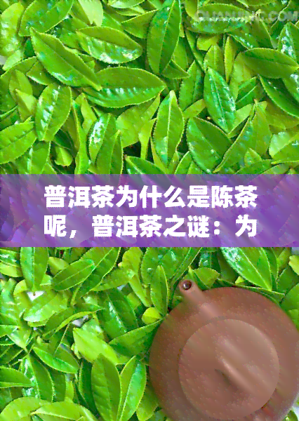 普洱茶为什么是陈茶呢，普洱茶之谜：为何成为陈茶的代名词？