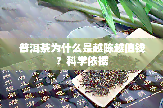 普洱茶为什么是越陈越值钱？科学依据