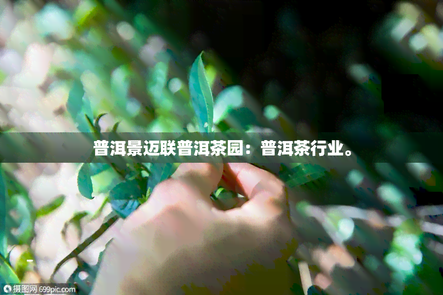 普洱景迈联普洱茶园：普洱茶行业。