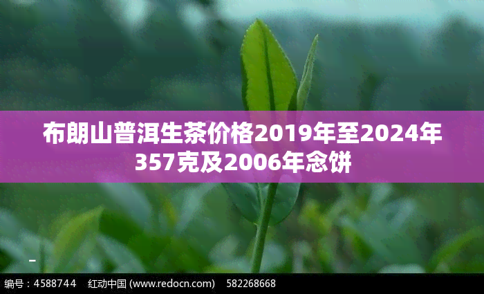 布朗山普洱生茶价格2019年至2024年357克及2006年念饼