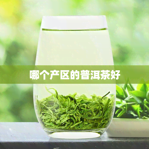 哪个产区的普洱茶好