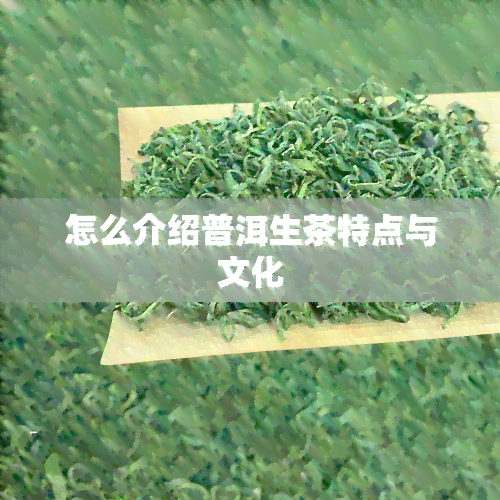 怎么介绍普洱生茶特点与文化