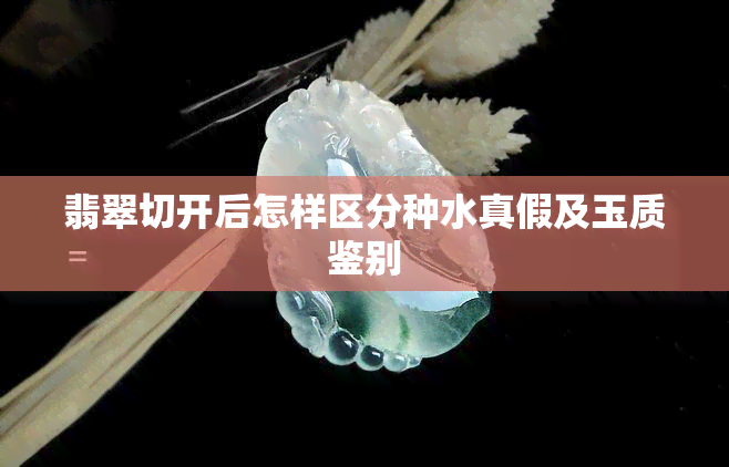 翡翠切开后怎样区分种水真假及玉质鉴别