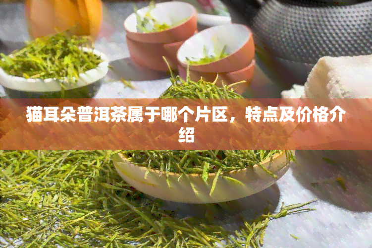 猫耳朵普洱茶属于哪个片区，特点及价格介绍