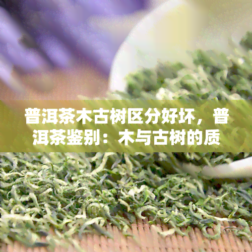 普洱茶木古树区分好坏，普洱茶鉴别：木与古树的质量辨析