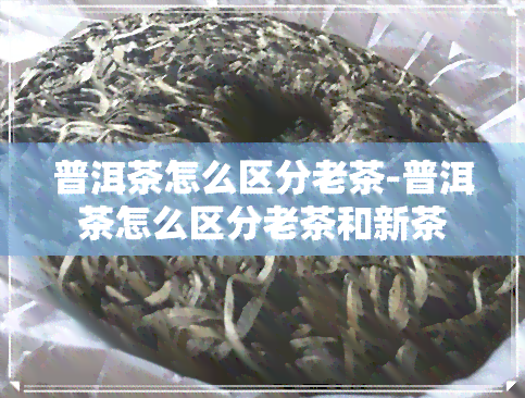 普洱茶怎么区分老茶-普洱茶怎么区分老茶和新茶