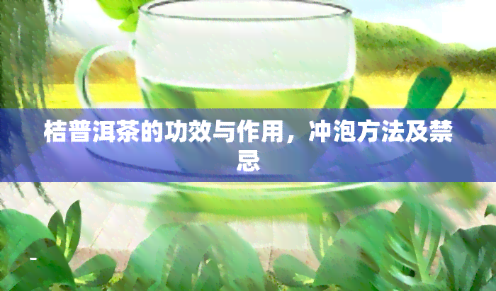 桔普洱茶的功效与作用，冲泡方法及禁忌