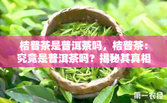 桔普茶是普洱茶吗，桔普茶：究竟是普洱茶吗？揭秘其真相！