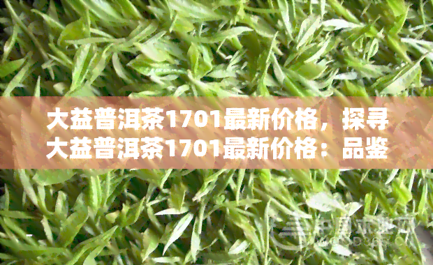 大益普洱茶1701最新价格，探寻大益普洱茶1701最新价格：品鉴茶叶文化的美妙旅程