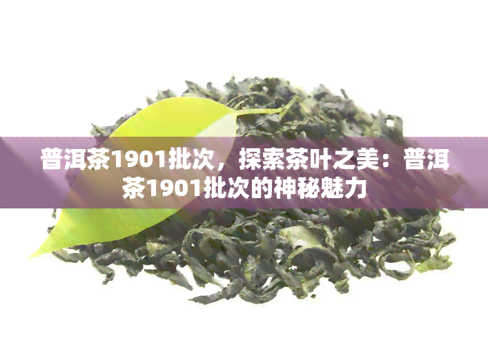 普洱茶1901批次，探索茶叶之美：普洱茶1901批次的神秘魅力