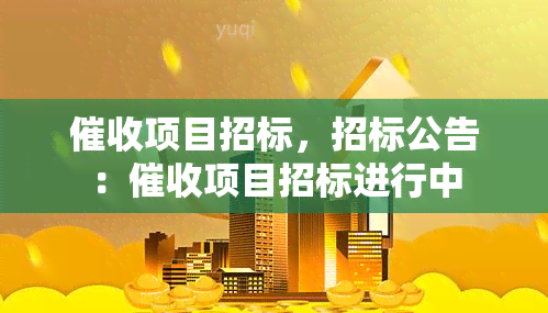 项目招标，招标公告：项目招标进行中