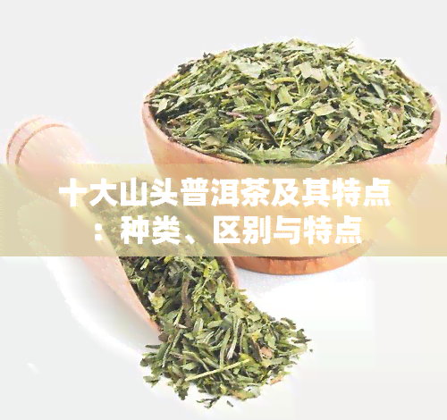 十大山头普洱茶及其特点：种类、区别与特点