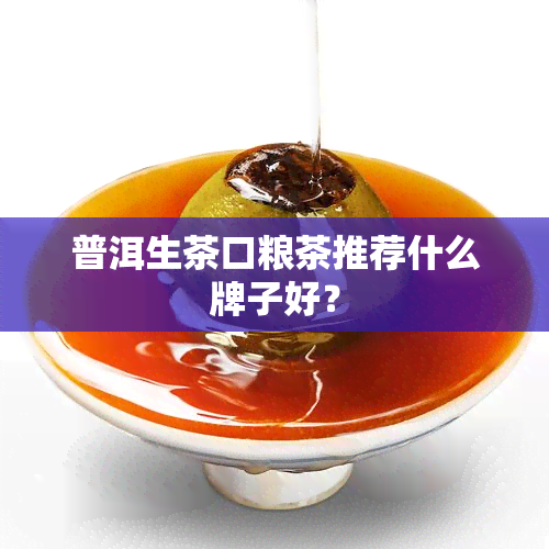 普洱生茶口粮茶推荐什么牌子好？