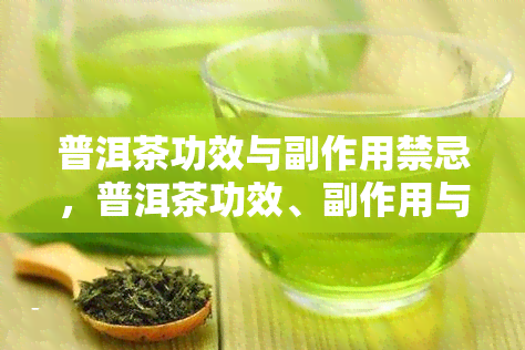 普洱茶功效与副作用禁忌，普洱茶功效、副作用与禁忌：全面解析