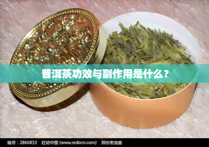 普洱茶功效与副作用是什么？