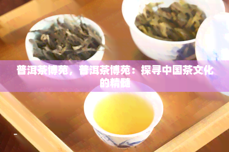 普洱茶博苑，普洱茶博苑：探寻中国茶文化的精髓