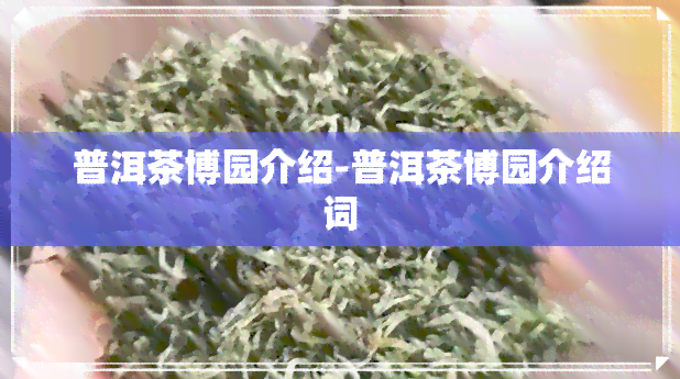 普洱茶博园介绍-普洱茶博园介绍词