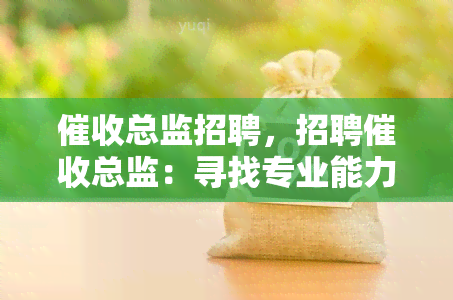 总监招聘，招聘总监：寻找专业能力与领导才能并存的人才