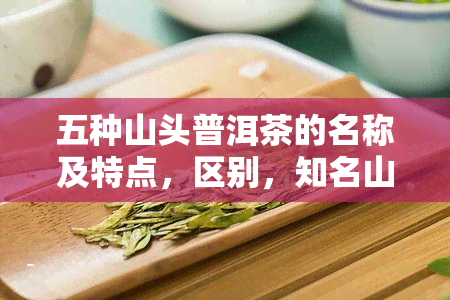 五种山头普洱茶的名称及特点，区别，知名山头特点