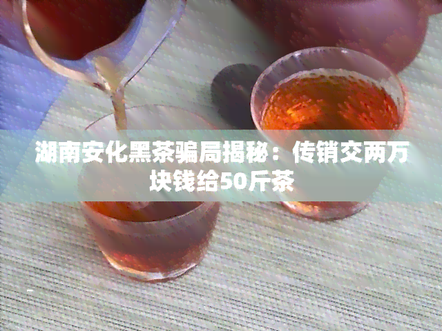 湖南安化黑茶骗局揭秘：传销交两万块钱给50斤茶