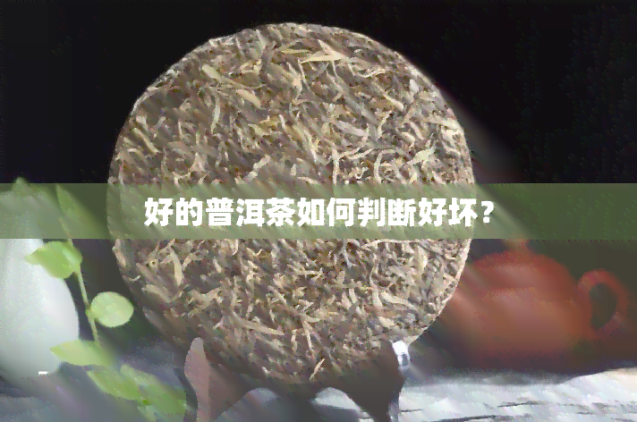 好的普洱茶如何判断好坏？