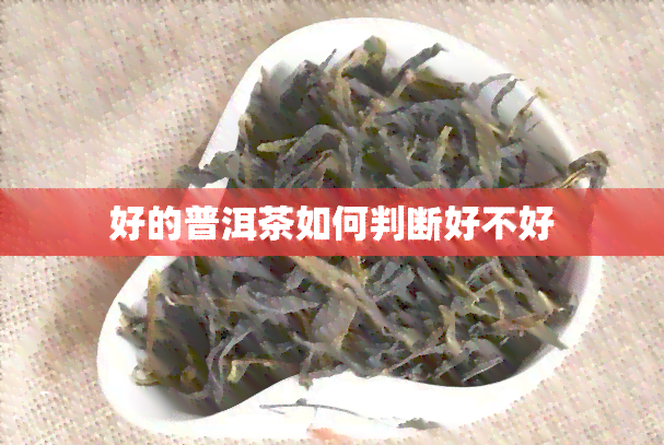 好的普洱茶如何判断好不好