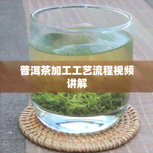 普洱茶加工工艺流程视频讲解