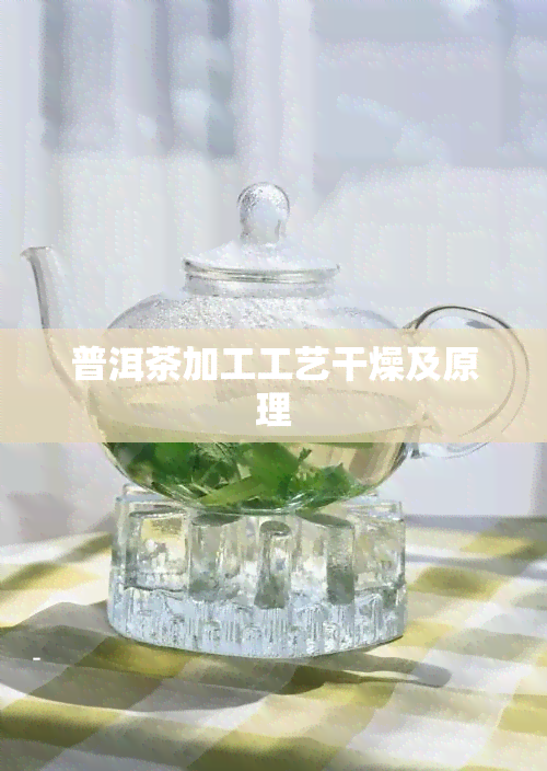 普洱茶加工工艺干燥及原理