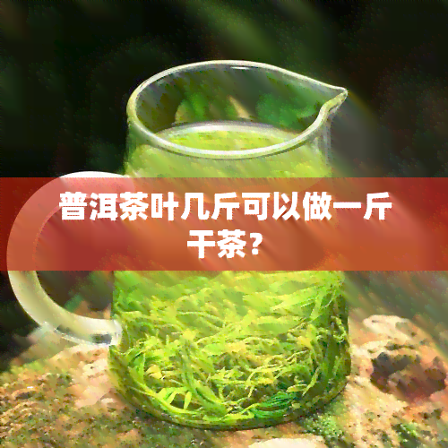 普洱茶叶几斤可以做一斤干茶？