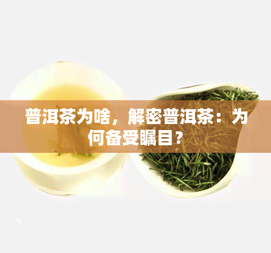 普洱茶为啥，解密普洱茶：为何备受瞩目？