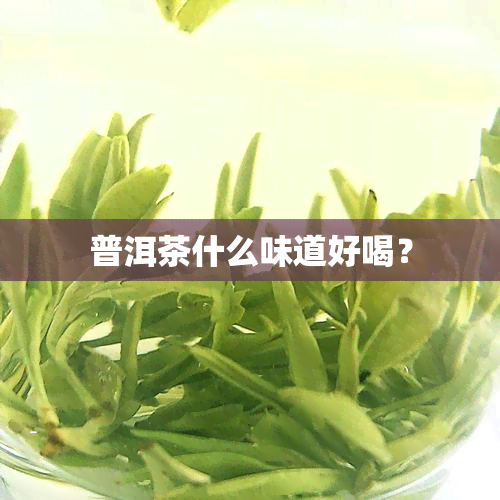 普洱茶什么味道好喝？