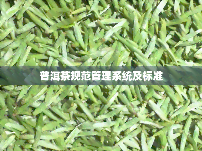 普洱茶规范管理系统及标准